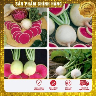 Hạt giống Củ Cải Trắng Ruột Đỏ