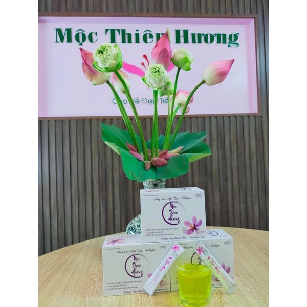 Nhuỵ Hoa Nghệ Tây-collagen Mộc Thiên Hương | BigBuy360 - bigbuy360.vn