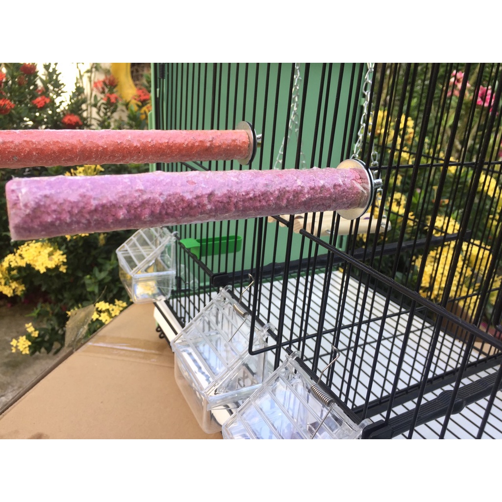 Cầu mài móng cho vẹt đường kính dày 1,8- 2cm