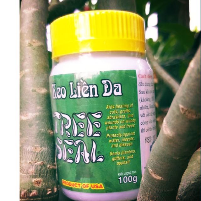 Keo liền sẹo cho cây