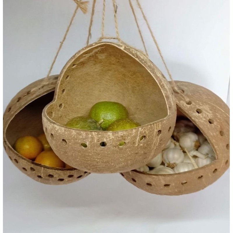 Gáo  dừa  hàm  ếch