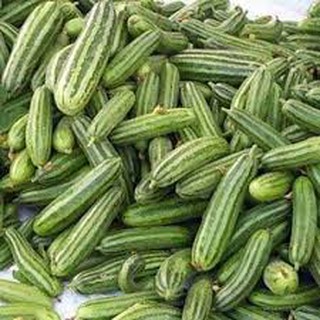 HẠT GIỐNG DƯA LEO/ DƯA CHUỘT CÁC LOẠI - 1 gói