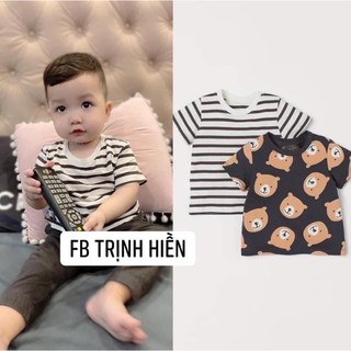 SET 3 ÁO PHÔNG GẤU CHO BÉ COTTON