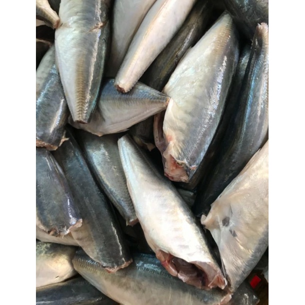 1kg Cá nục suôn đuôi đỏ