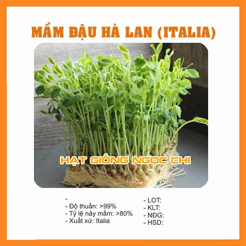 Hạt Giống Rau Mầm Đậu Hà Lan - 50Gr