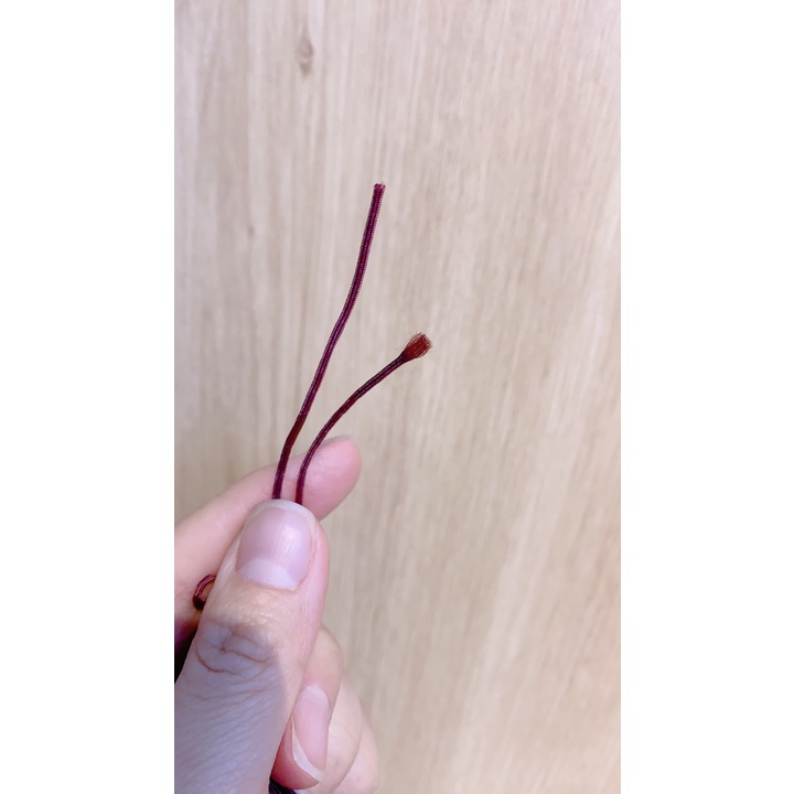 Dây dù đầu cần , dây gia cố đầu cần câu đơn , câu đài
