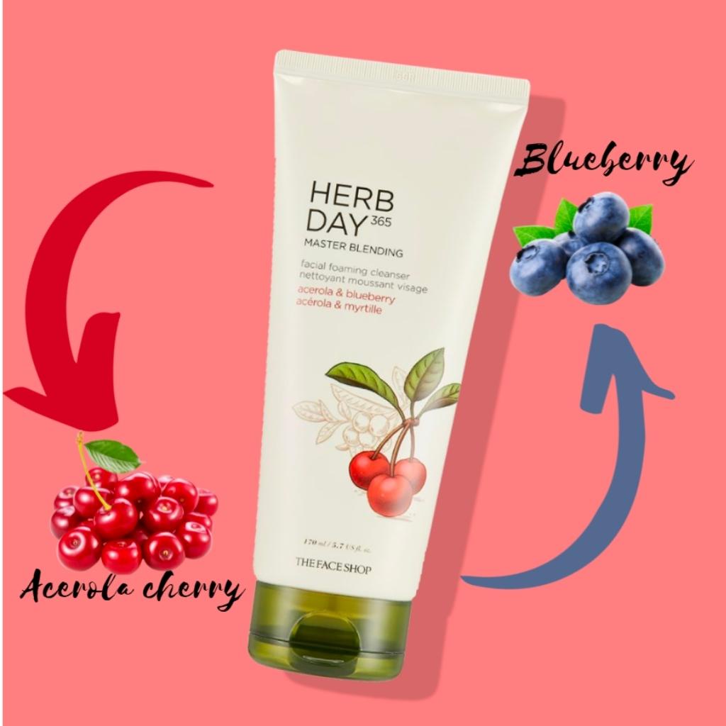 Sữa Rửa Mặt The Face Shop Herb Day 365 Master Blending Facial Foaming Cleansser 5 Loại Sạch Sâu(170ml/Tuýp)