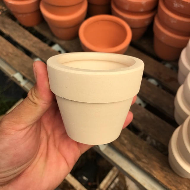 Combo 10 chậu đất nung lygo lùn