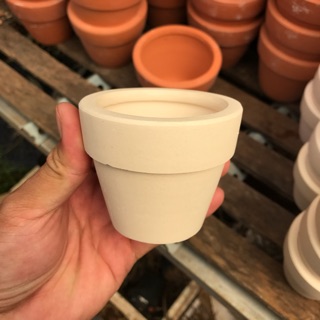 Combo 10 chậu đất nung lygo lùn