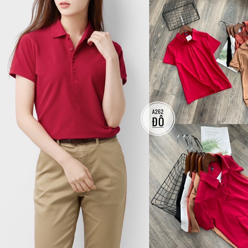 áo thun Polo t-shirt dư xịn vnxk siêu đẹp a262 | BigBuy360 - bigbuy360.vn