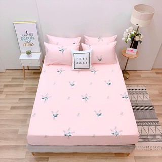 2.Ga GỐI LẺ COTTON LỤA (ẢNH CHỤP THẬT )