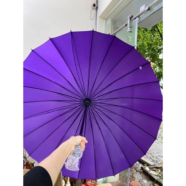 Ô DÙ 24 NAN TÁN TO