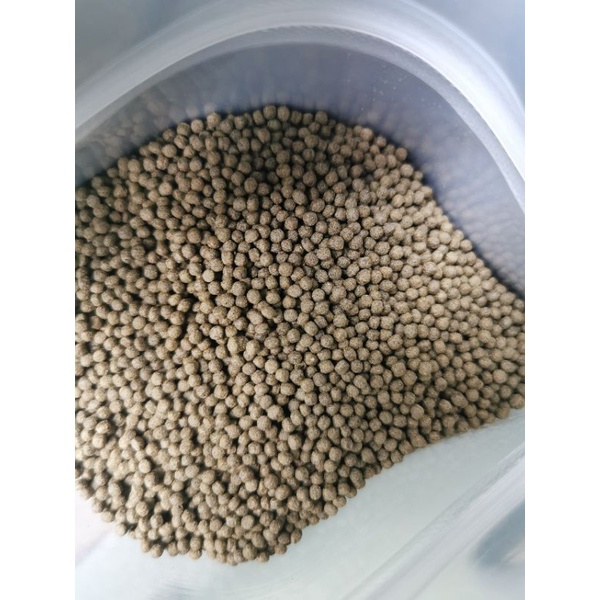 cám cá vàng CSranchu protein 56%,bột tảo 7%, hạt 2mm