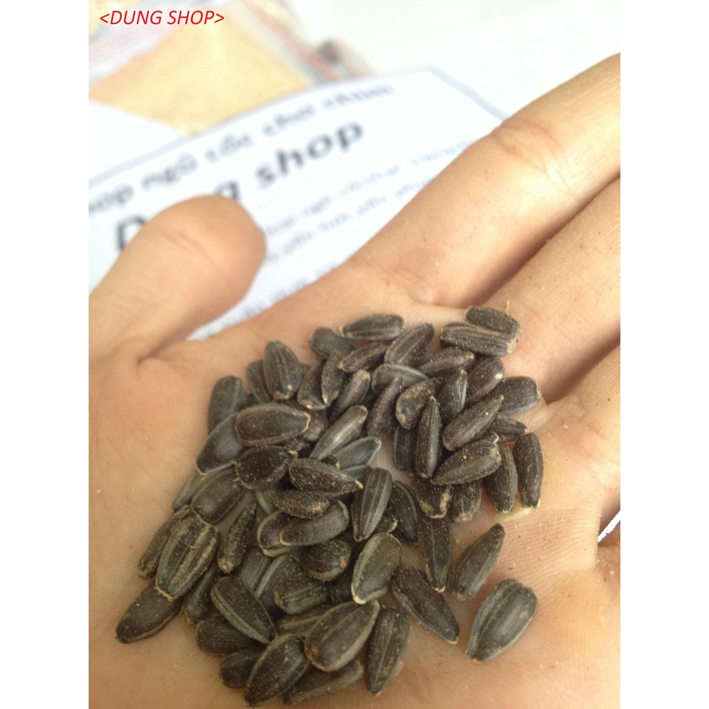 Hướng dương đen nhỏ cho chim các dòng vẹt 1kg