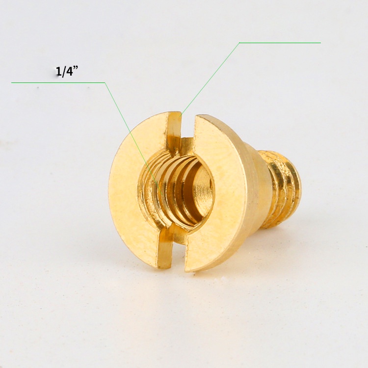 Ốc Halcase da máy ảnh - Ốc đồng