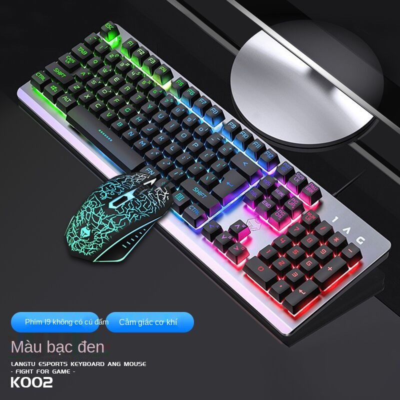 Bộ bàn phím và chuột có dây USB đèn nền máy tính trò chơi gà bên ngoài lol Văn phòng cảm giác robot nhà | BigBuy360 - bigbuy360.vn