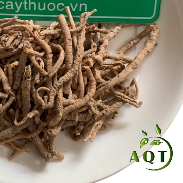 Viễn Chí Khô 500g (Hàng Chuẩn, Rút Lõi) An Thần, Trừ Ho, Giảm Đau Tức Ngực