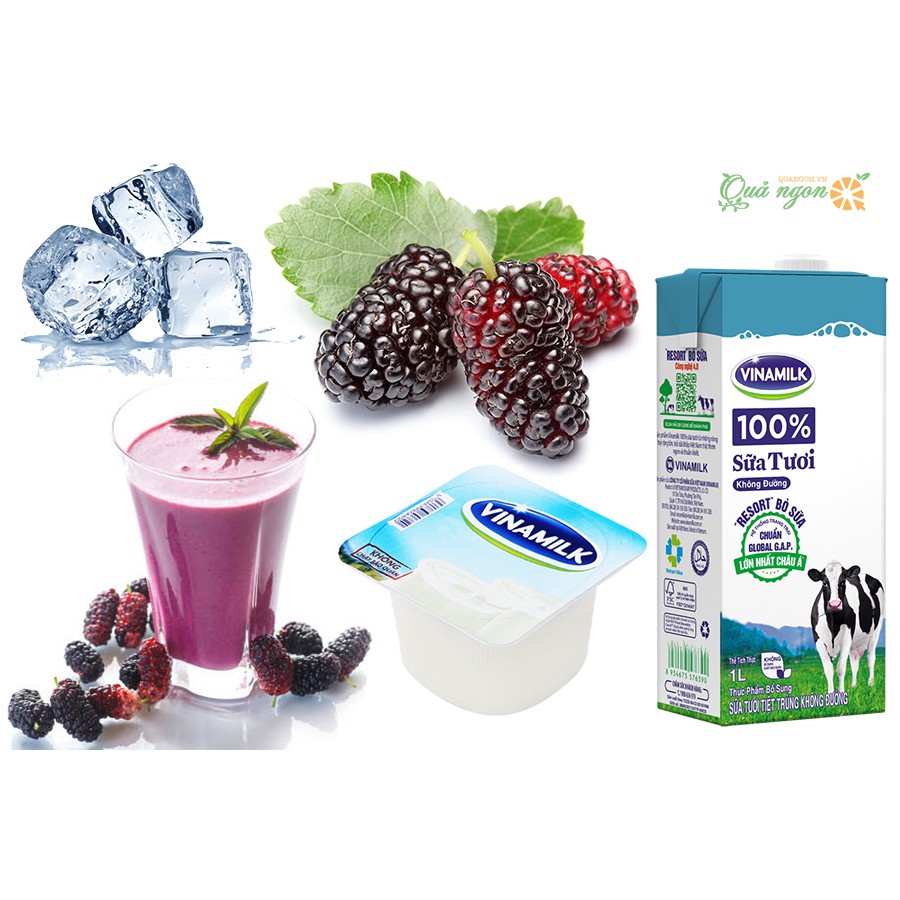 Sinh tố Dâu tằm nguyên chất 1L