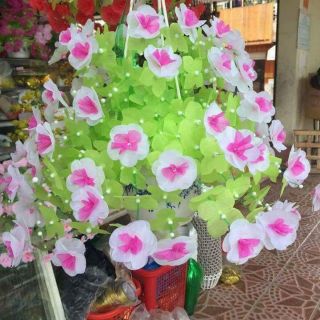 Combo 12b hoa giấy lụa