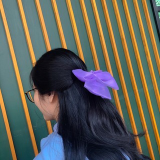 Combo kẹp thêu và kẹp nơ voan kính tím