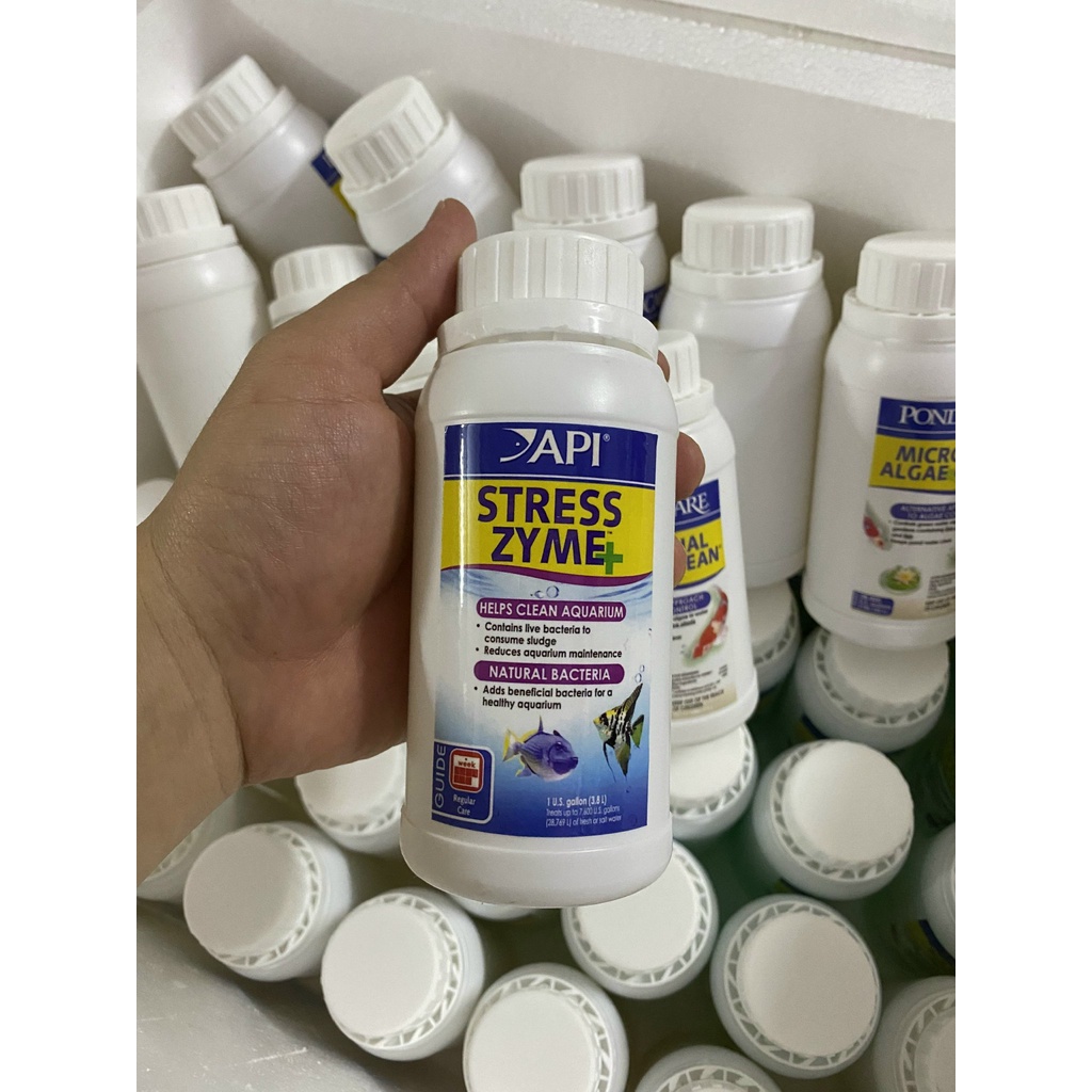 Vi sinh sống Cao Cấp API Stress Zyme 250ml -  phân hủy chất hữu cơ, chất bẩn bể cá, thủy sinh