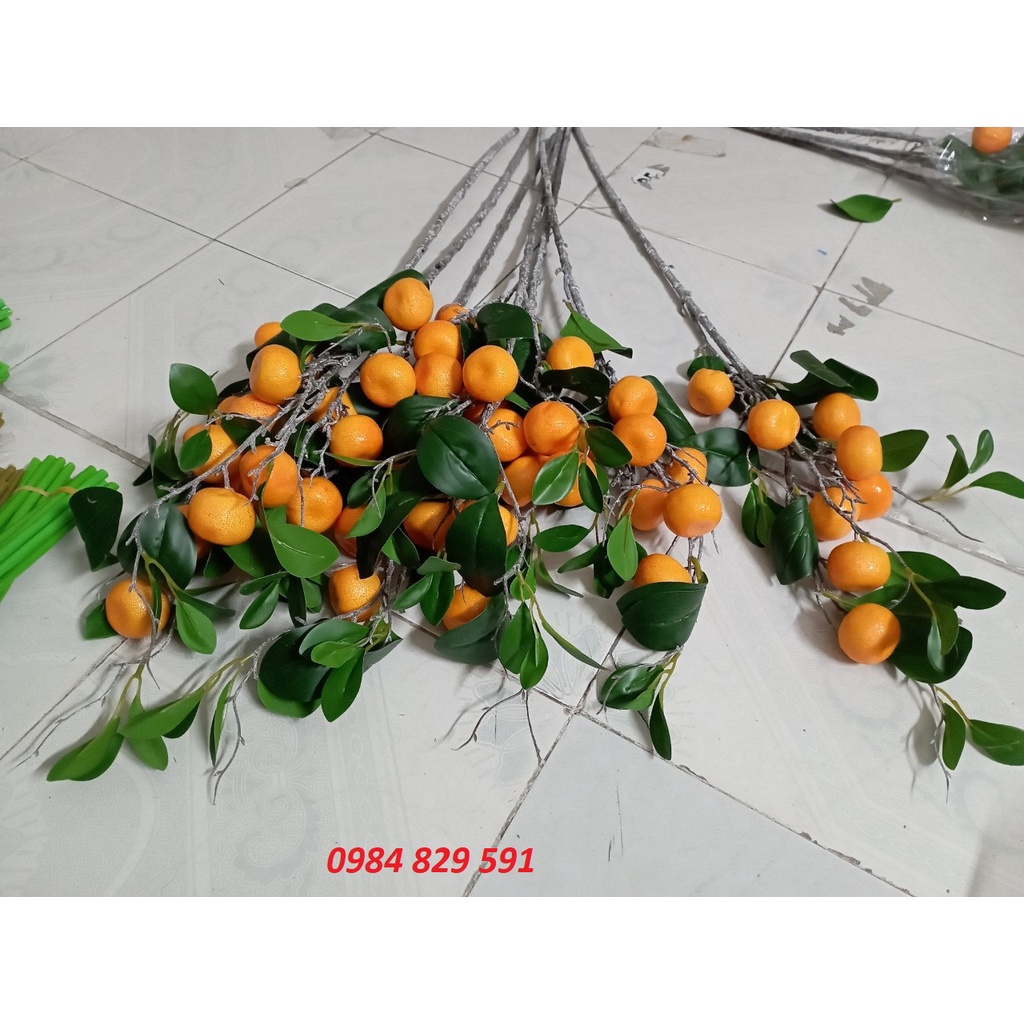 Cành Quýt vàng trĩu quả cao cấp