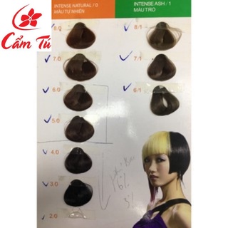 Thuốc Nhuộm Tóc Everflo - mpcamtu