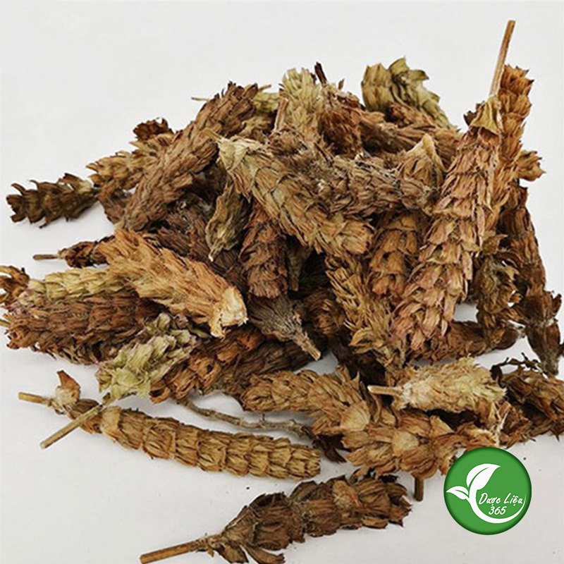 Hạ khô thảo [1KG KHÔ] Hàng loại 1