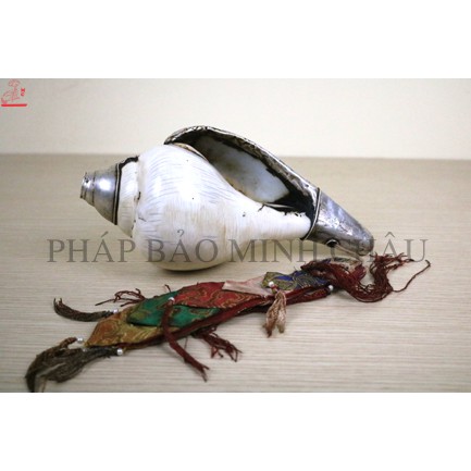 [PHÁP BẢO MINH CHÂU] ỐC NEPAL (NHƯ Ý CÁT TƯỜNG) - BỌC ĐỒNG CAO CẤP TRẮNG