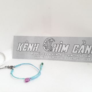 dây xích chân thuần chim họa mi