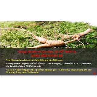 Cà phê nhân sâm tế bào gốc