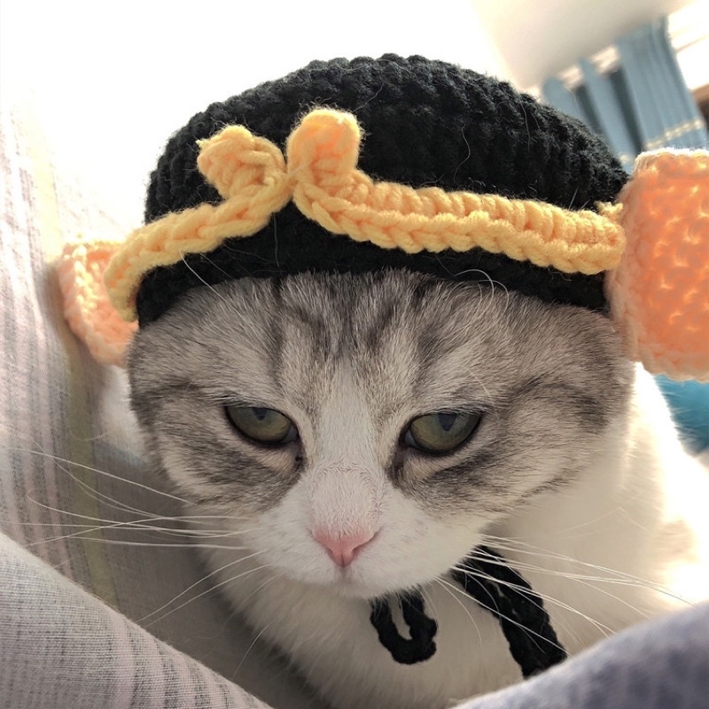 Mũ bát giới cho mèo đủ size