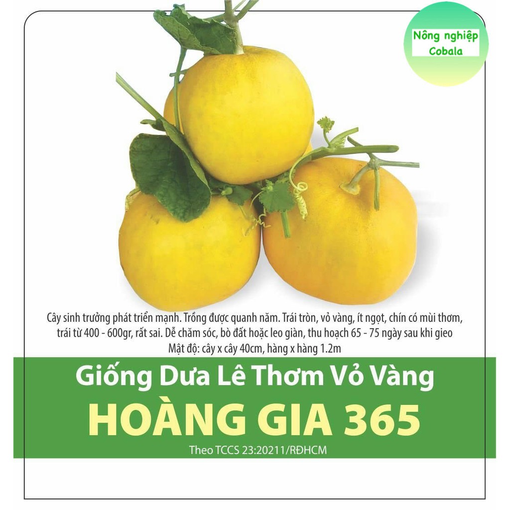 Hạt Giống Dưa Lê Vỏ Vàng 1gr