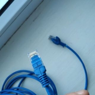 Cáp mạng LAN bấm sẳn 2 đầu