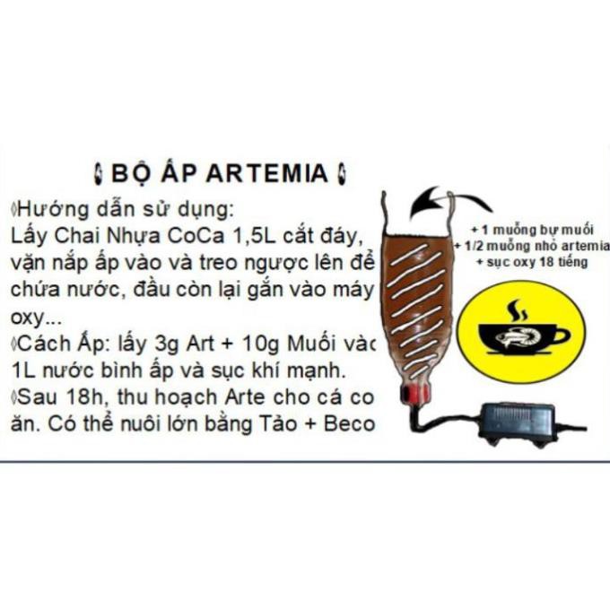 Bộ ấp Artemia Cao Cấp 🦐 Tặng ống trữ Artemia 15ml 🎁 BETTA COFFY ☕️