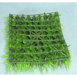 Thảm cỏ nhựa 25x25