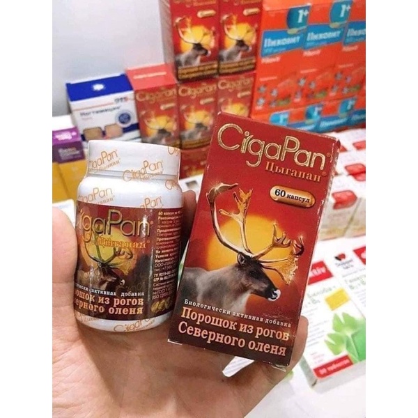 Nhung hươu Cigapan Nga