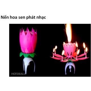 Nến hoa sen phát nhạc