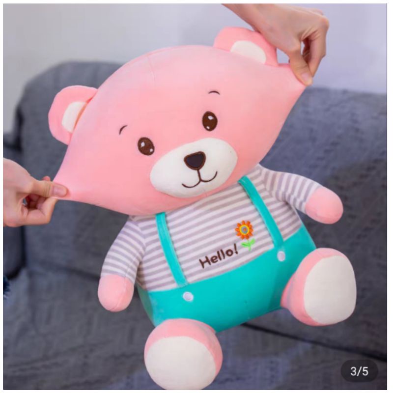 gấu bông teddy