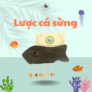 Lược Cá Sừng Min Healthcare