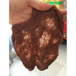 Hạt NGũ Hoa (Hạt Đình Lịch) handmade 100gr