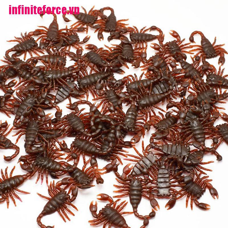 Bộ 10 Bọ Cạp Thú Vị Độc Đáo