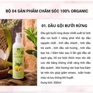 Dầu Gội Bưởi Rừng THH 🍐[ Chính Hãng ]