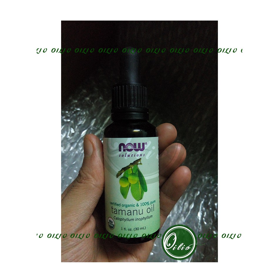 Dầu mù u chứng nhận hữu cơ Now organic Tamanu oil