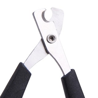 móng cho thú cưng Bộ dụng cụ cắt