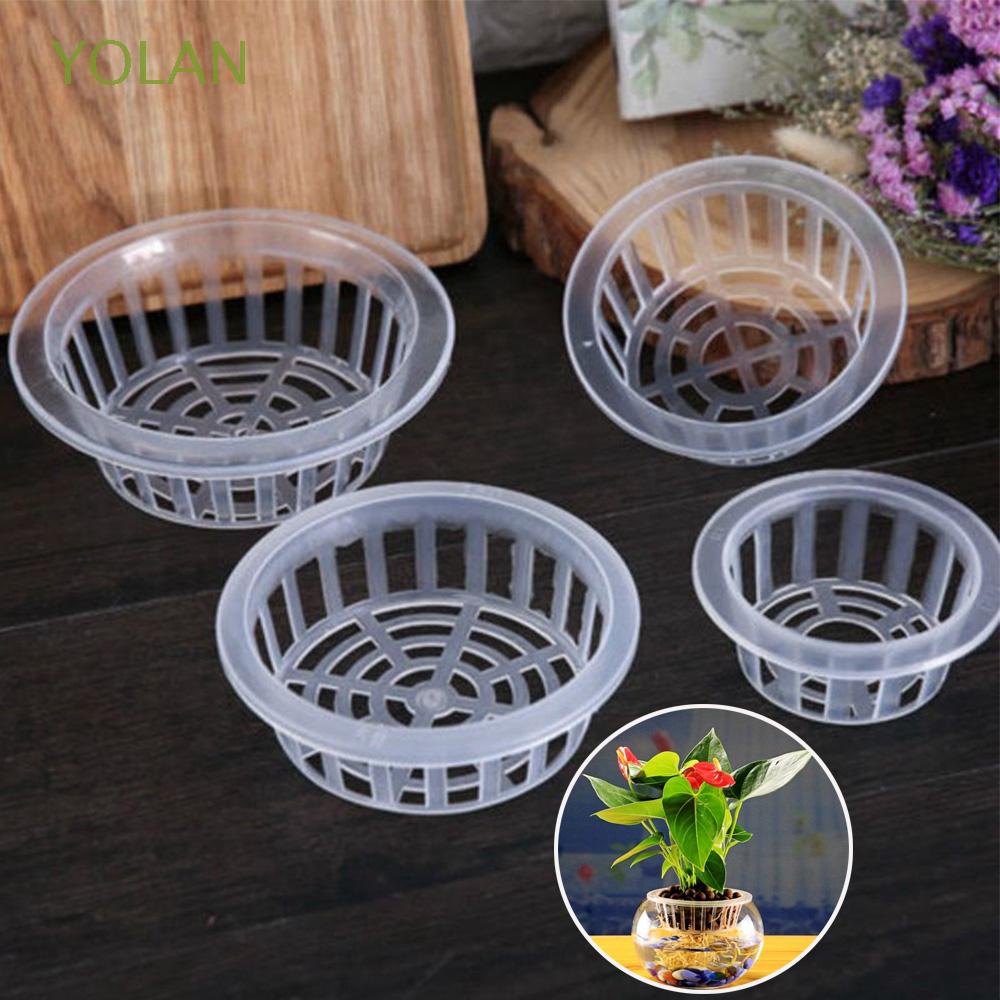 Set 2 Giỏ Nhựa Trồng Cây Thủy Sinh Tiện Dụng