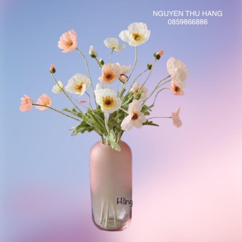 HOA LỤA PASTEL HÀN QUỐC