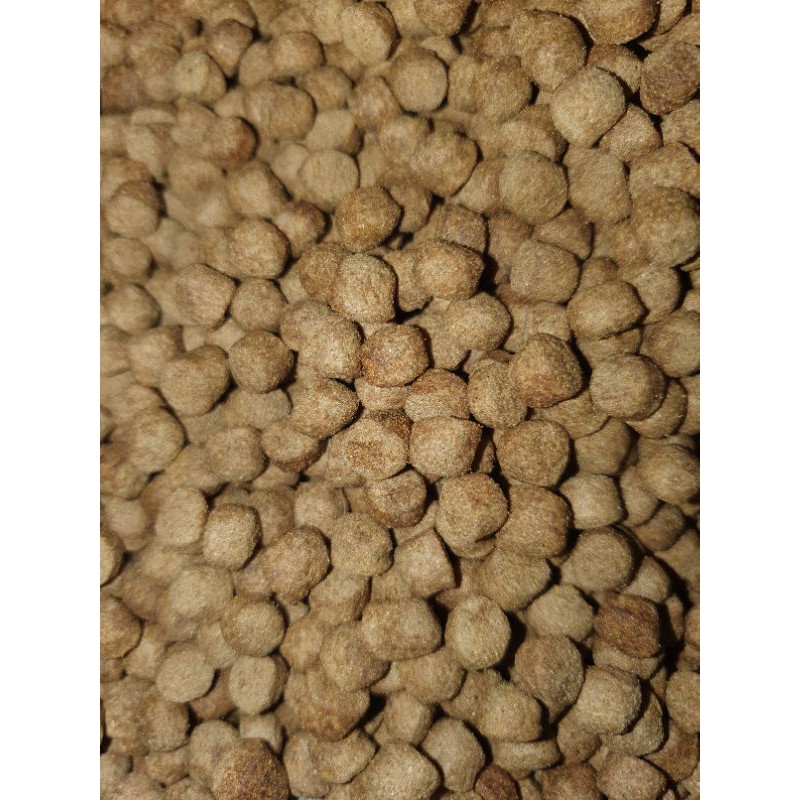 Thức ăn cho common, rùa nước size lớn