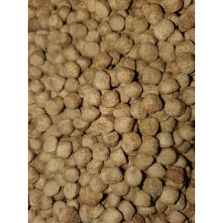 Thức ăn cho common, rùa nước size lớn (túi 1kg)