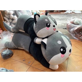MÈO Alaska 130cm